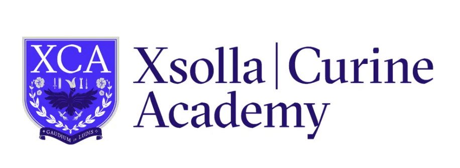 Xsolla Curine Academy and GOFLEX EVENTS
